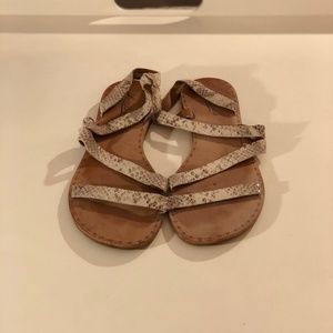 Lucky Brand Snake Skin Strapped Size 9 Sandals